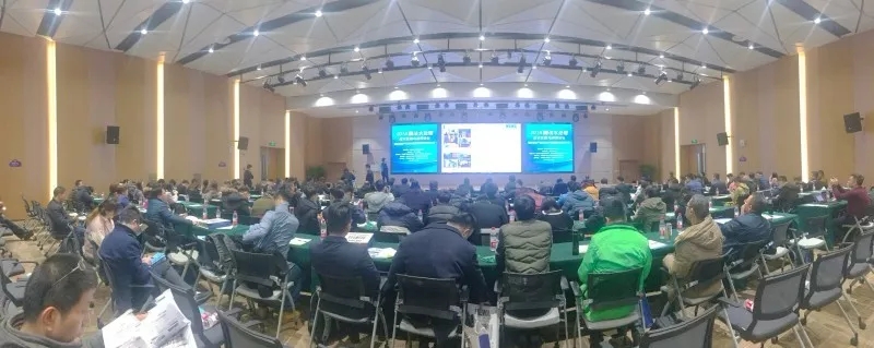 1545707470960724.jpg 640.webp (1).jpg