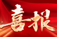 榮耀加冕！煙臺金正環保連獲多項大獎，行業影響力和技術實力再獲認可！