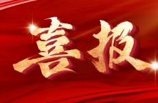 硬核品質+極速響應！金正環保十二月雙單連發創佳績！